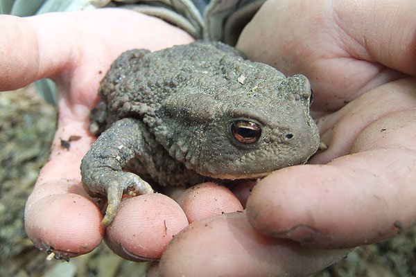 Natur und Wiesen rund um den Kindergarten